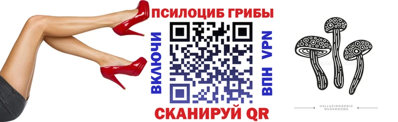 Псилоцибиновые грибы прущие грибы  Каменногорск 